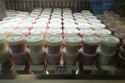 Yoghurt met bosbes 200gr
